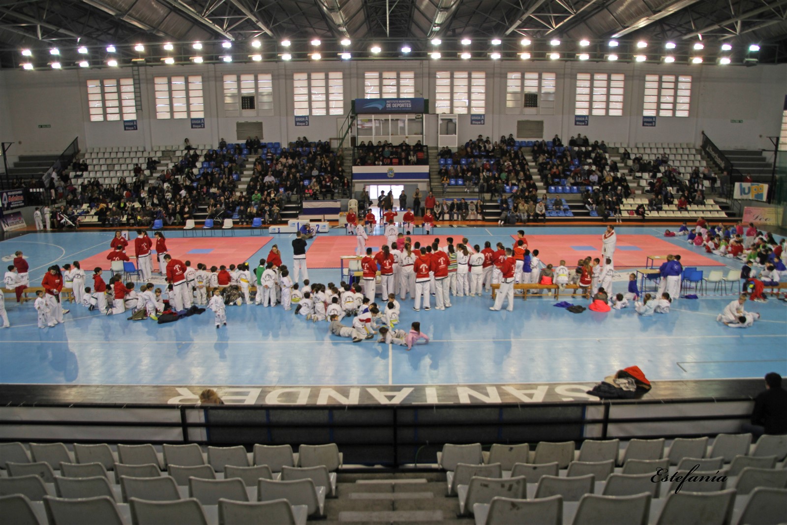 Taekwondo (194).jpg